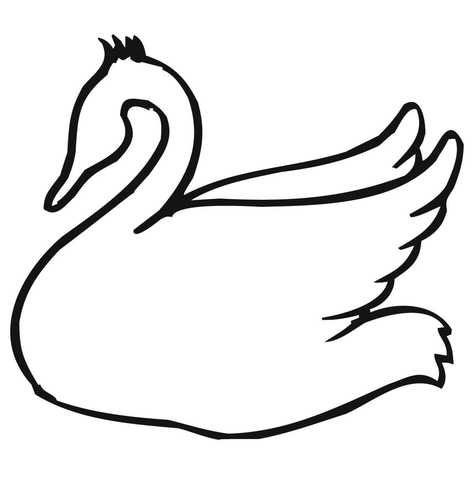 Swan Outline Coloring Page